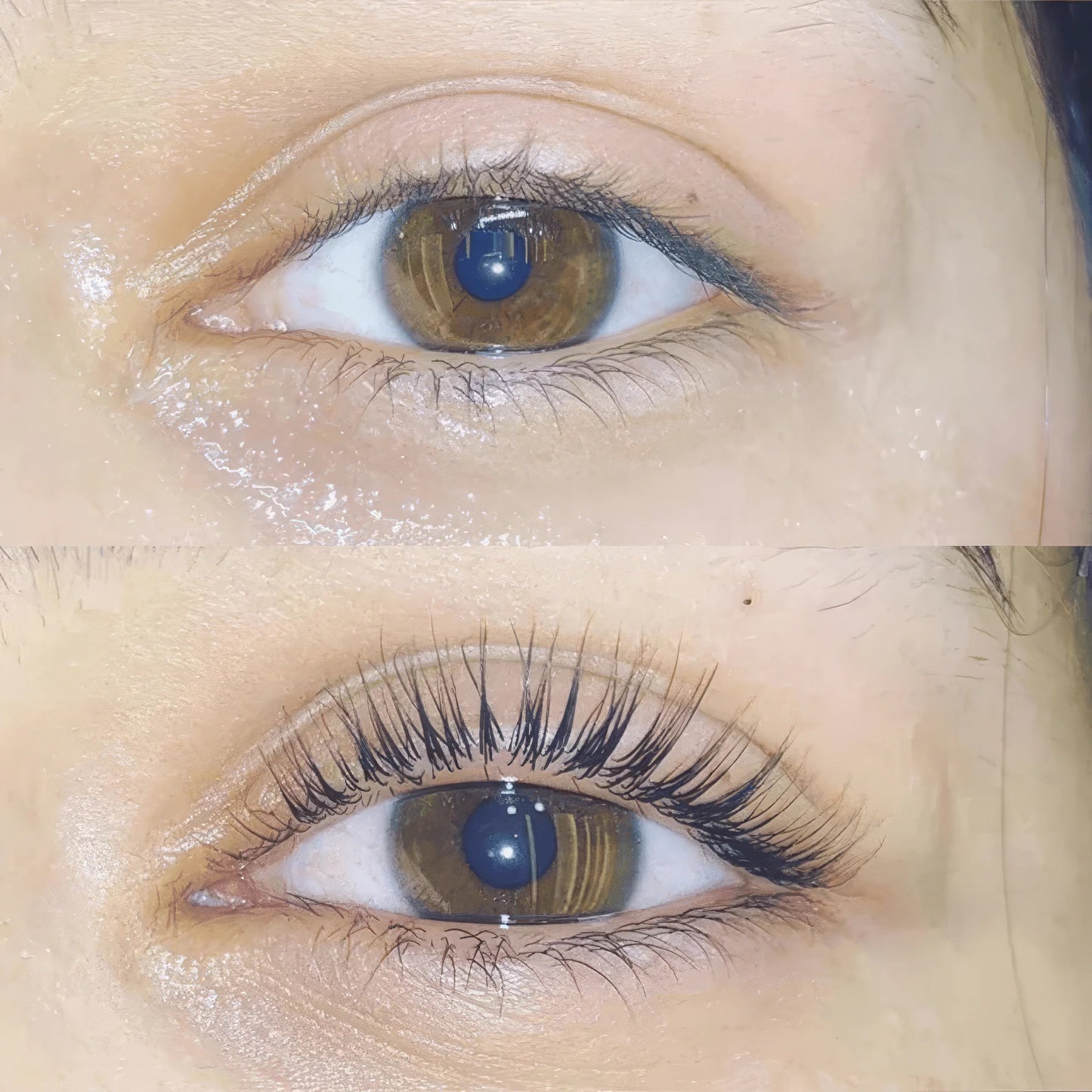 Lash Lift & Tint