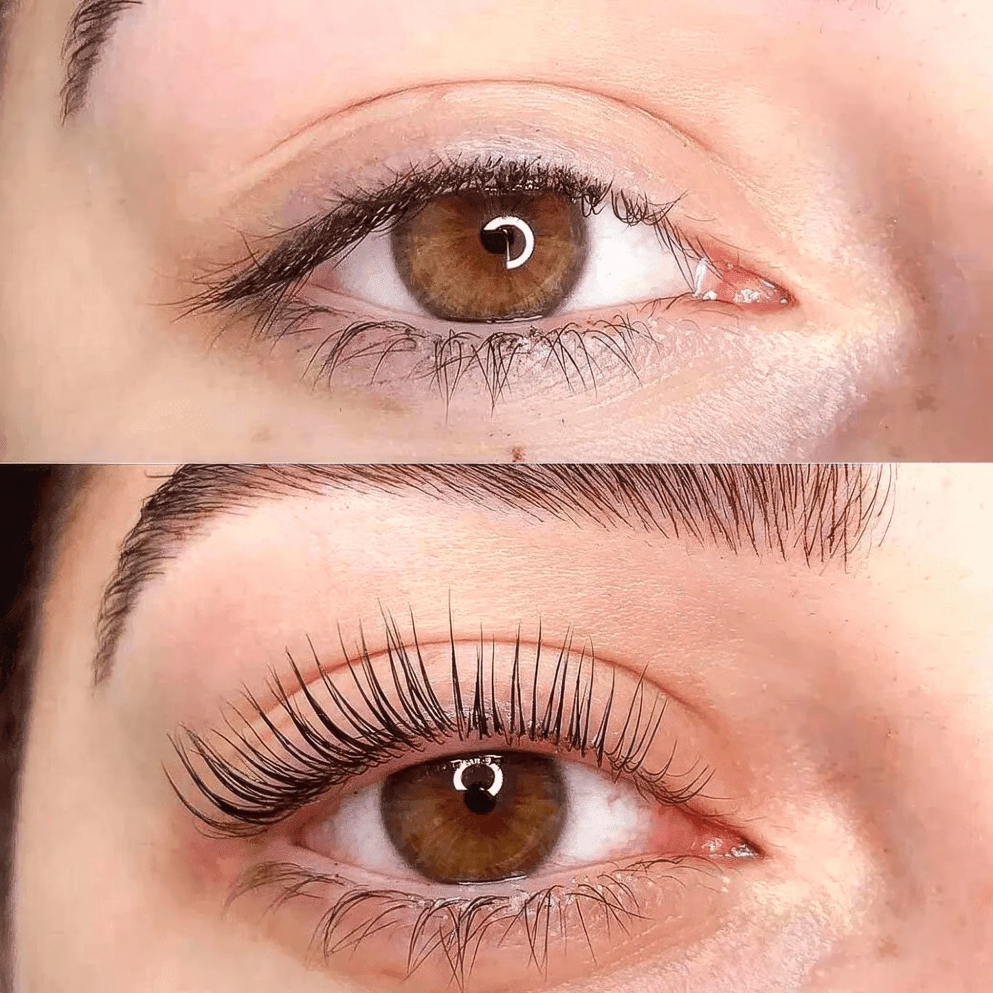 Lash Lift & Tint